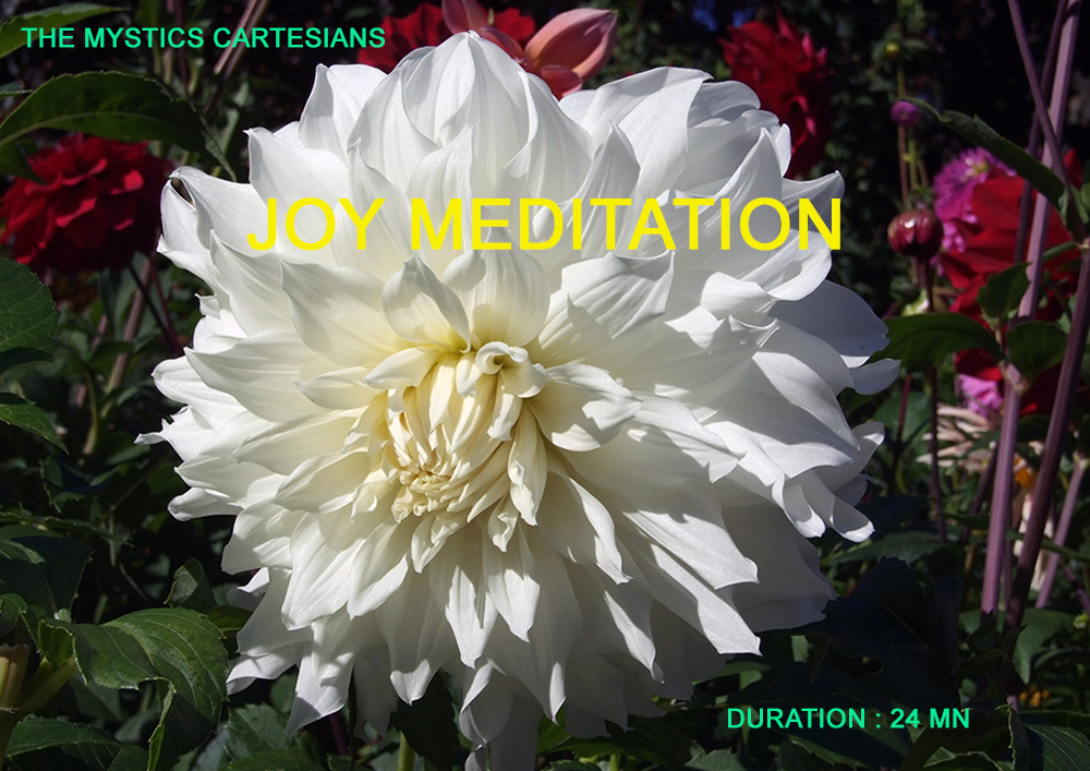 MEDITATION N ° 1: JOY