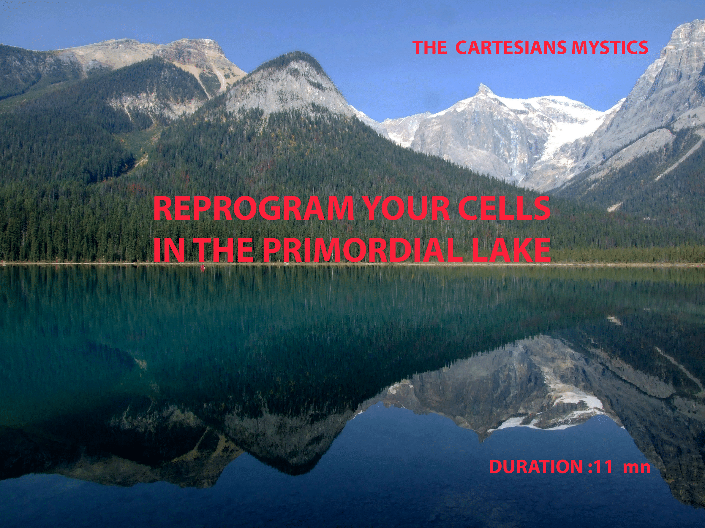 MEDITATION N ° 14: REPROGRAM YOUR CELLS IN THE PRIMORDIAL LAKE