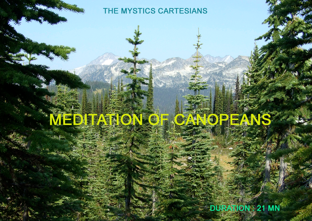 MEDITATION N ° 8 : MEDITATION OF CANOPEANS